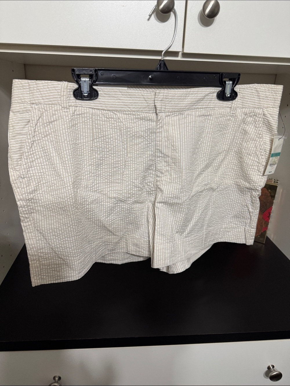 Women’s Crown  and  IvyCream Seersucker Casual Shorts